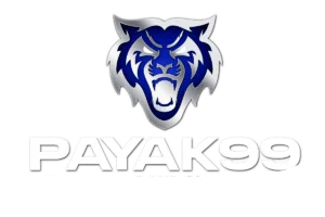 cropped-PAYAK99-logo.webp